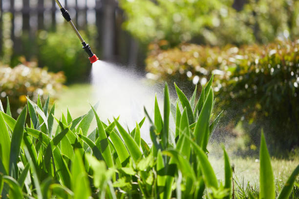 24/7 Emergency Ant Control experts in Lewistown, IL