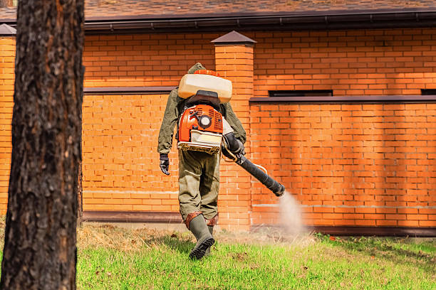 Trusted Emergency Pest Control service in Lewistown, IL - Nex Pest Control